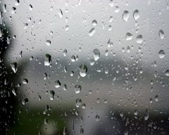 Жару в Тамбовской области охладят дожди